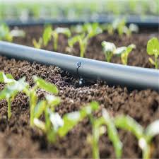 Shree Sai Extrusion Technik is a leading supplier of Round Drip Irrigation Tube Machinery We avails it in different regions with different models, varieties and range